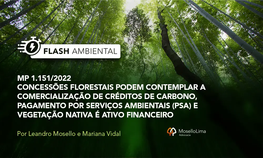 MP 1.151/2022 | Concessões Florestais podem contemplar a comercialização de créditos de carbono, pagamento por serviços ambientais (PSA) e vegetação nativa é ativo financeiro 