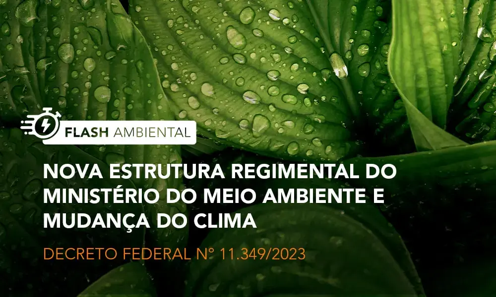 Nova Estrutura Regimental do Ministério do Meio Ambiente e Mudança do Clima