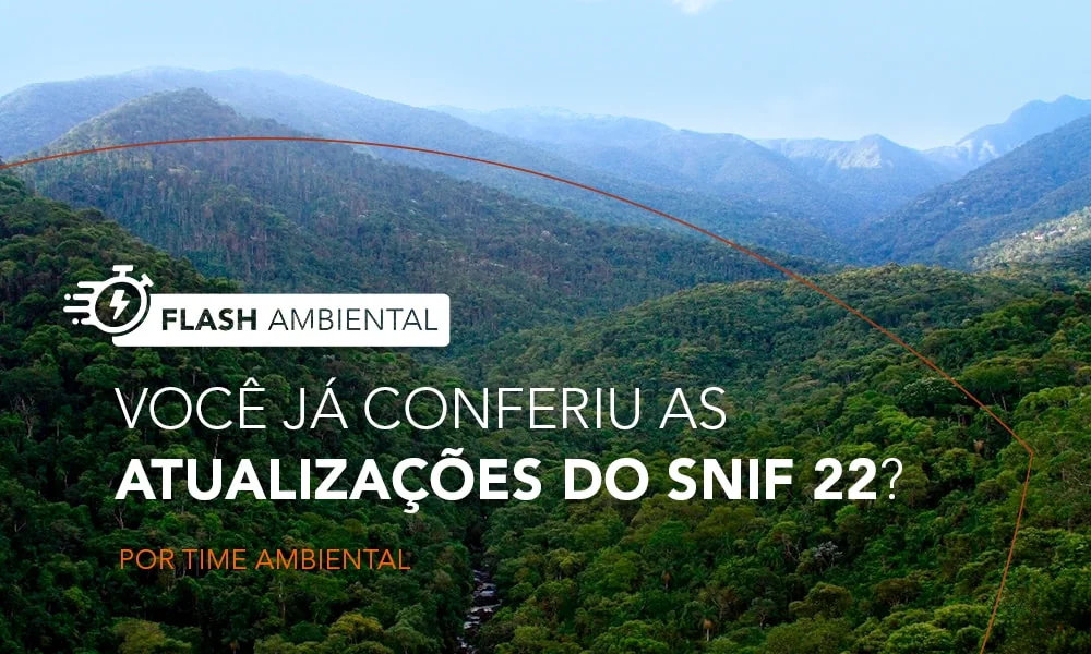 Boletim do Sistema Nacional de Informações Florestais (SNIF) 2022 