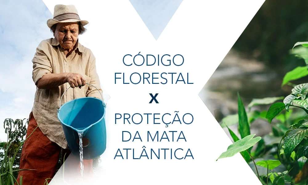 Código Florestal X Proteção da Mata Atlântica