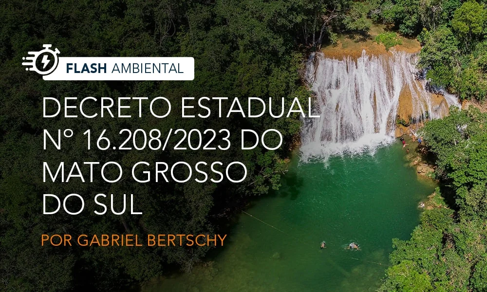 DECRETO 16.208 - Mato Grosso do Sul