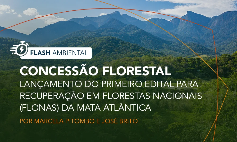Concessão Florestal – Lançamento do primeiro edital para recuperação em Florestas Nacionais (Flonas) da Mata Atlântica