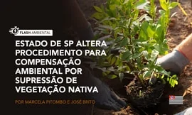 Estado de SP altera procedimento para compensação ambiental por supressão de vegetação nativa