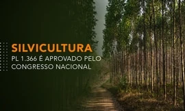 Silvicultura - PL 1.366 é aprovado pelo Congresso Nacional